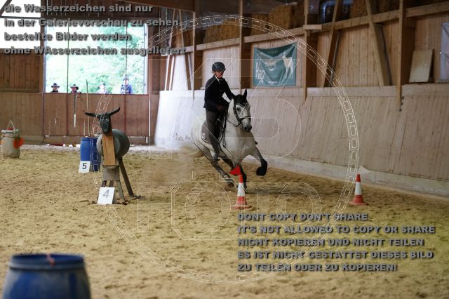 s_K3F08137.JPG